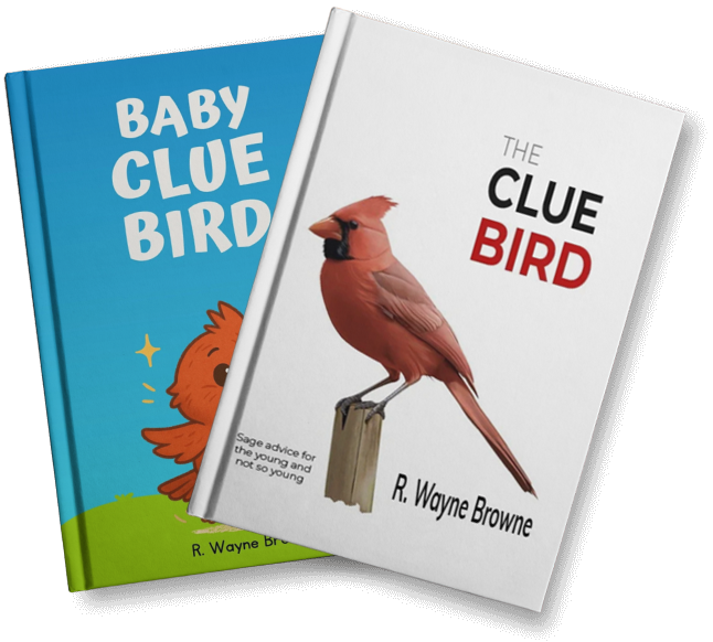 clue bird book covers The Clue Bird Books