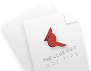 The Clue Bird Hot tips-free The Clue Bird Hot tips-free