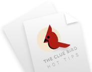 The Clue Bird | Sage Advice for the Young and Not So Young